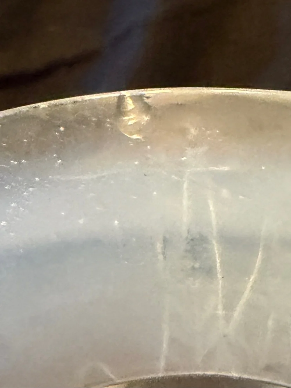 Rene Lalique Eucalyptus Opalescent Frosted Glass Vase